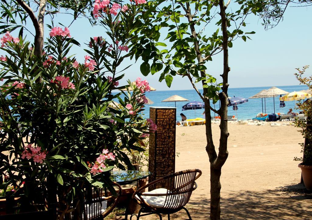 Defne Pension Çıralı Ngoại thất bức ảnh