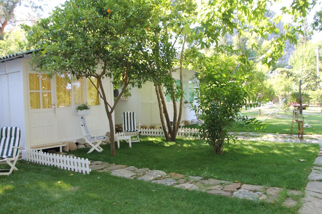 Defne Pension Çıralı Phòng bức ảnh